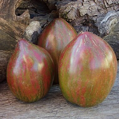 Marmelādes kārdinājums